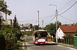 Zdjęcie z galerii