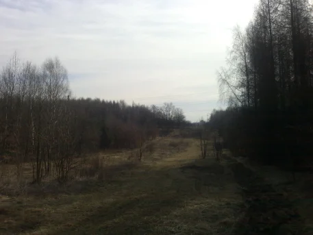 Zdjęcie z galerii