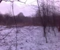 Zdjęcie z galerii